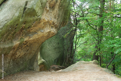 Czarnorzecko-Strzyzowski Park Krajobrazowy, Rezerwat Przadki.