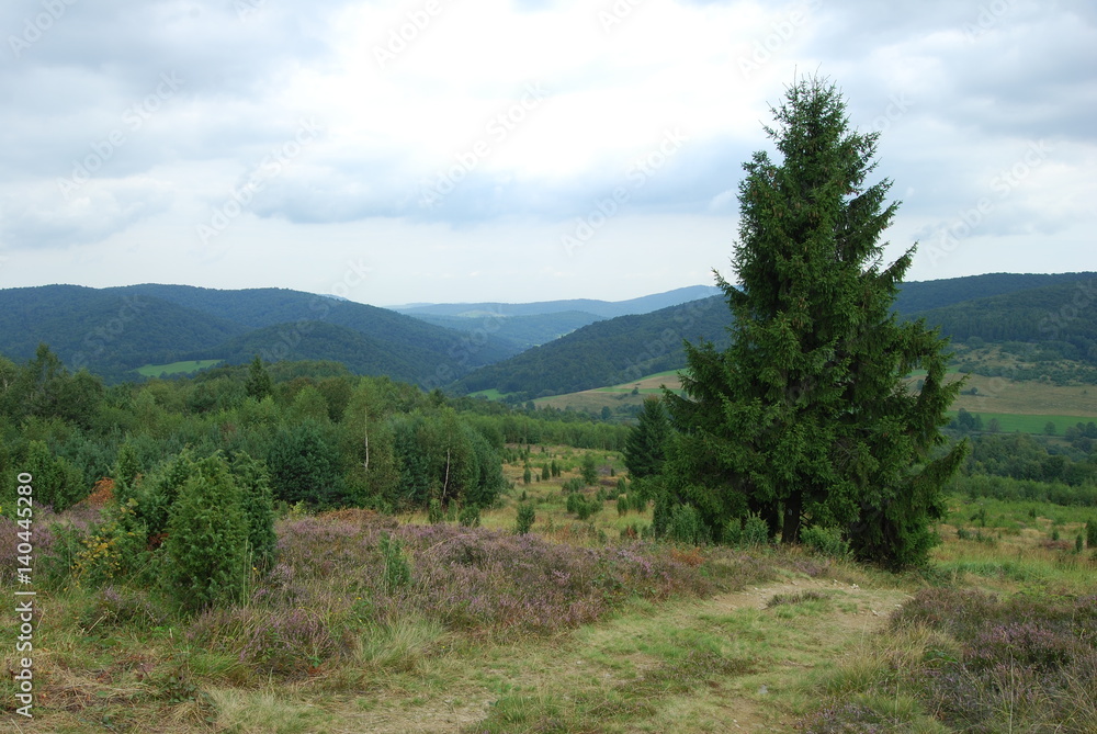 Magurski Park Narodowy, Niedzwiedzie - Widok z Wysokiego. Magurski Park Narodowy, Niedzwiedzie - Widok z Wysokiego.