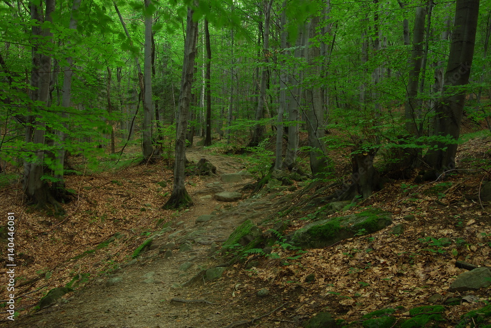 Magurski Park Narodowy, Szlak nad Wodospad Magurski.