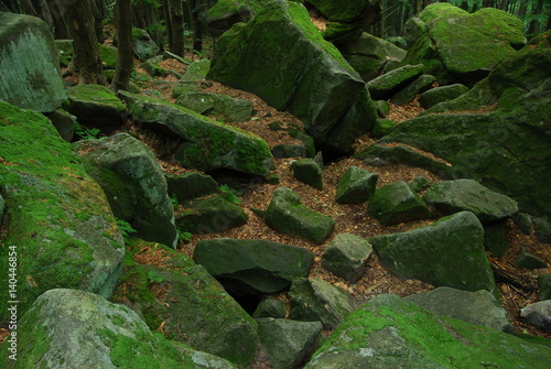 Magurski Park Narodowy, Rezerwat 