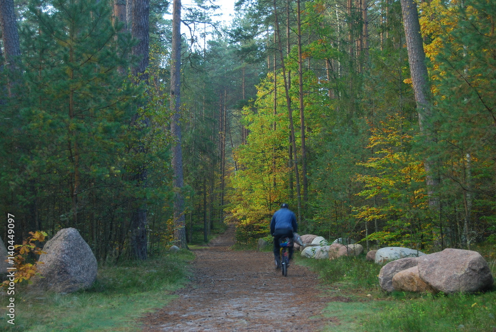 Obraz premium Roztoczanski Park Narodowy.