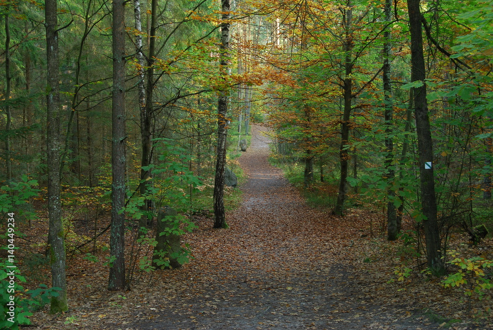 Roztoczanski Park Narodowy.