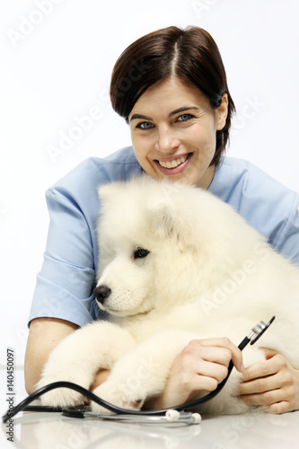 Fototapeta Naklejka Na Ścianę i Meble -  smiling Veterinarian examining dog on table in vet clinic
