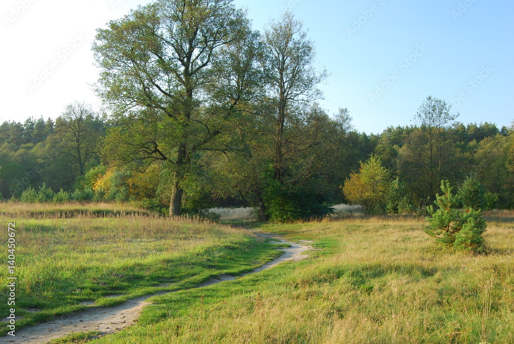 Park Krajobrazowy Puszczy Solskiej Park Krajobrazowy Puszczy Solskiej