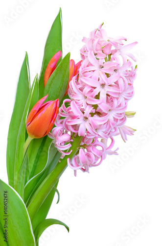 Fototapeta Naklejka Na Ścianę i Meble -  Pink hyacinth and tulips flowers