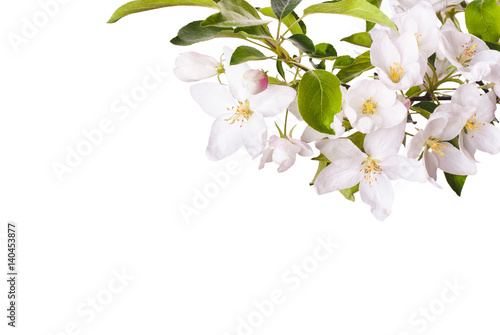 Apple blossom brunch_3