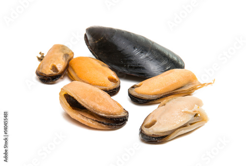 Mussels isolated