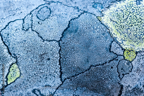 Lichens are symbiotic fungi and algae. They are able to grow on the rocks and often form on the rocks and stones beautiful pattern.