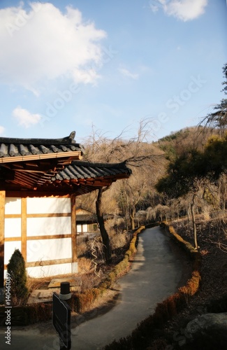 peaceful & calm garden