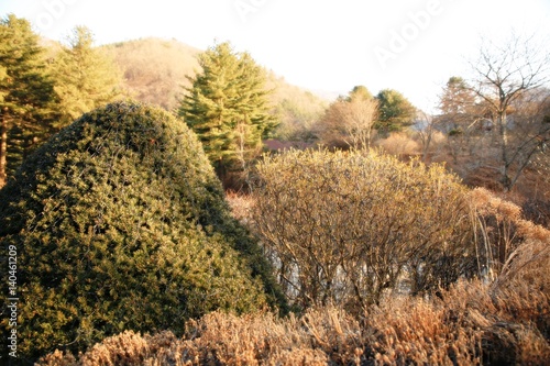 peaceful & calm garden
