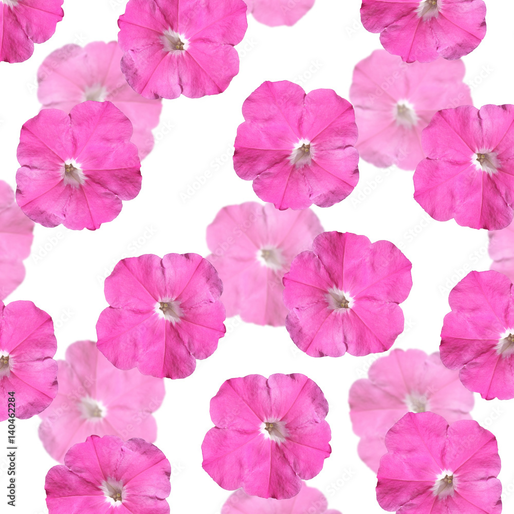 Beautiful floral background with pink petunias 