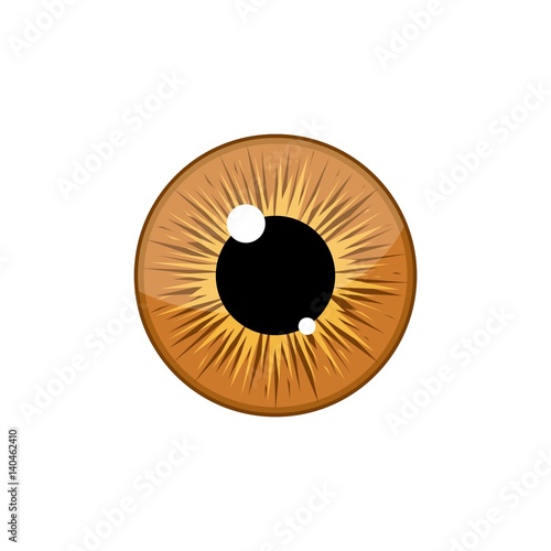 Human light brown eyeball iris pupil isolated on white background. Eye