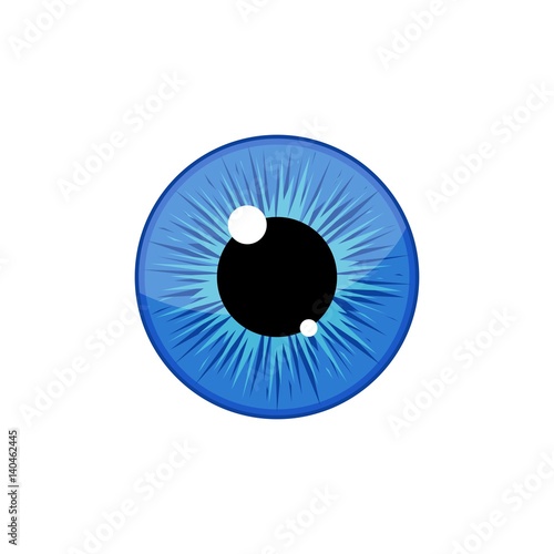 Human blue eyeball iris pupil isolated on white background. Eye