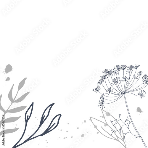 Floral  background with hand drawn fennel or dill flowers, leaves and paint splashes.