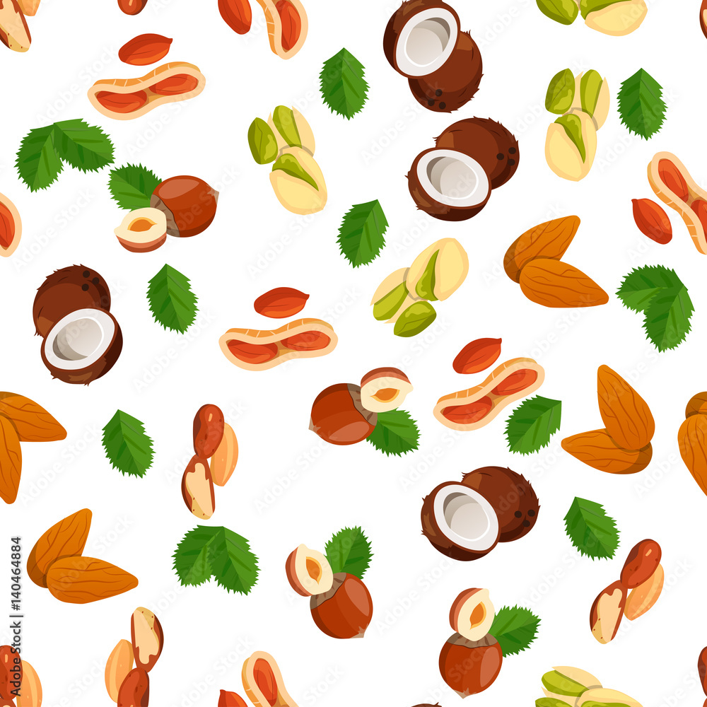 illustration of nuts illustration of nuts