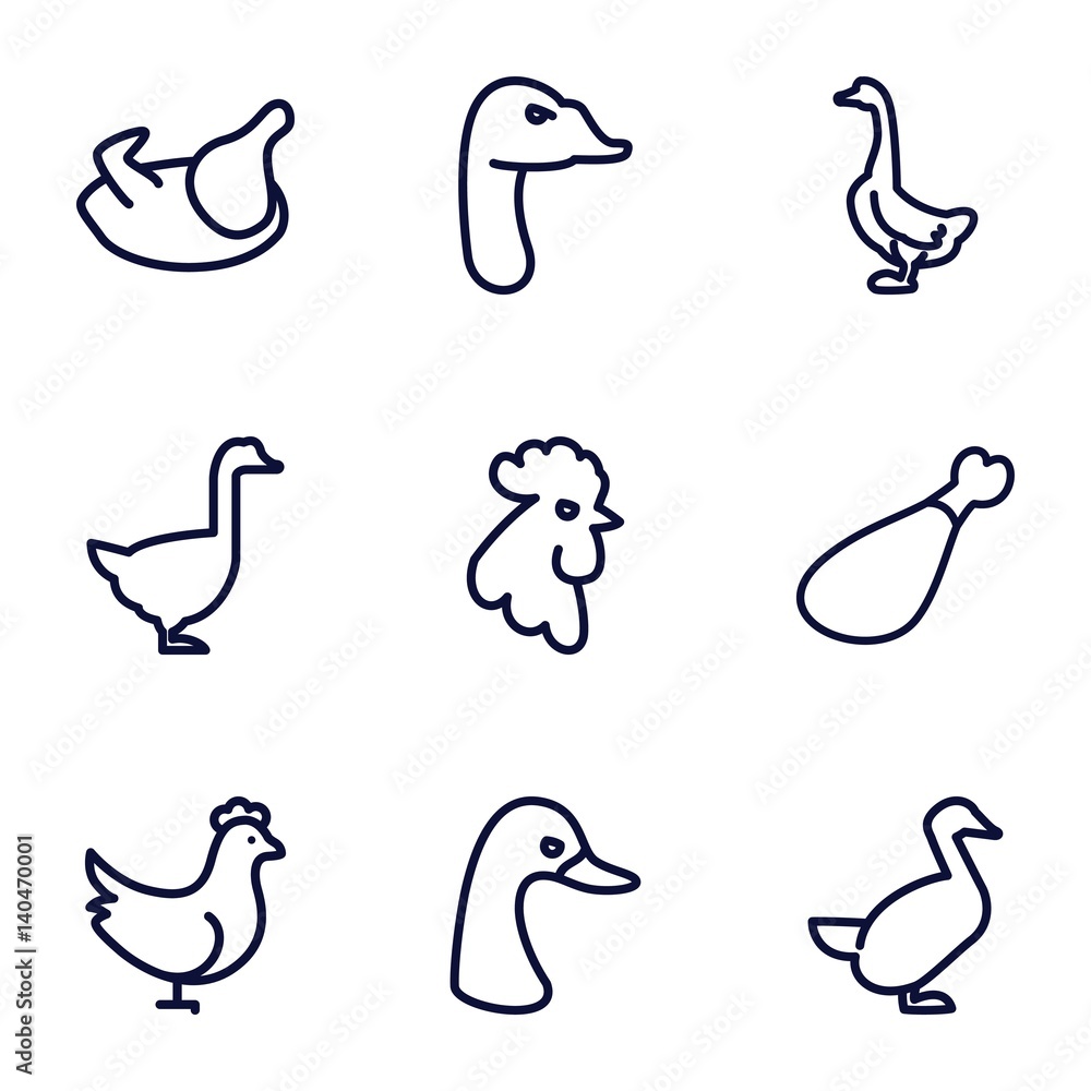 Obraz premium Set of 9 poultry outline icons
