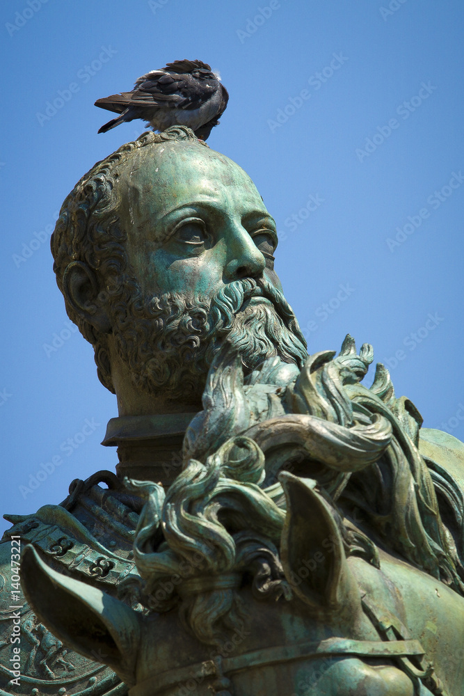 Pigeon sitting on the head of a statue