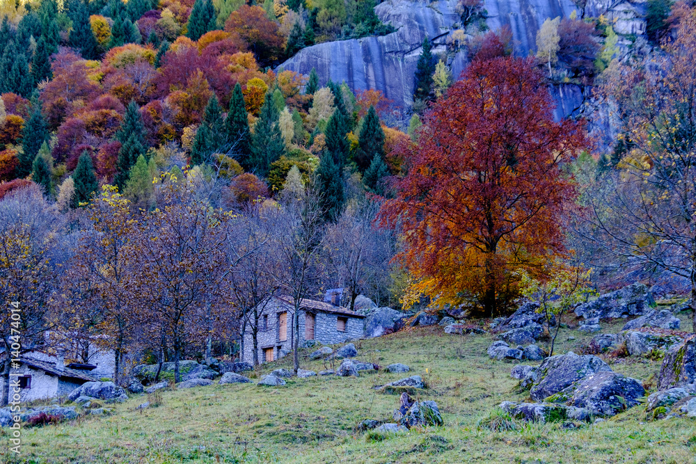 Fotografie colori in Val di Mello