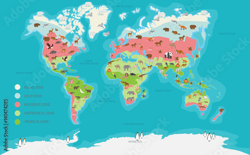 world map vector illustration
