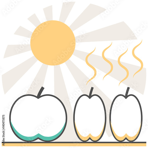 Food Dehydration - Infographic Icon Elements from Cooking Set. Flat Thin Line Icon Pictogram for Website and Mobile Application Graphics.