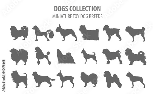 Miniature toy dog breeds collection isolated on white. Flat style
