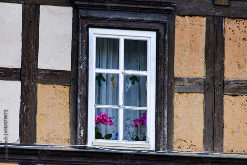 Window with orchids on the window