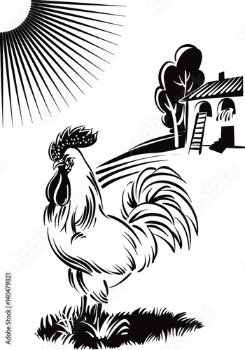 rooster in a meadow in search of food, in the background a chicken coop.