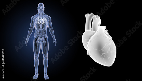 Quadro em tela Heart zoom with anatomy anterior view