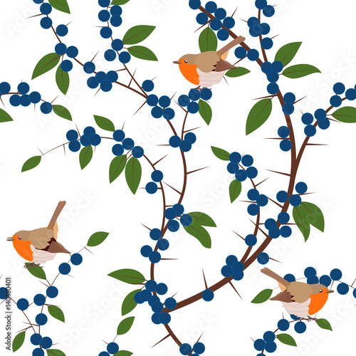 Seamless pattern of Blackthorn berries and robin birds