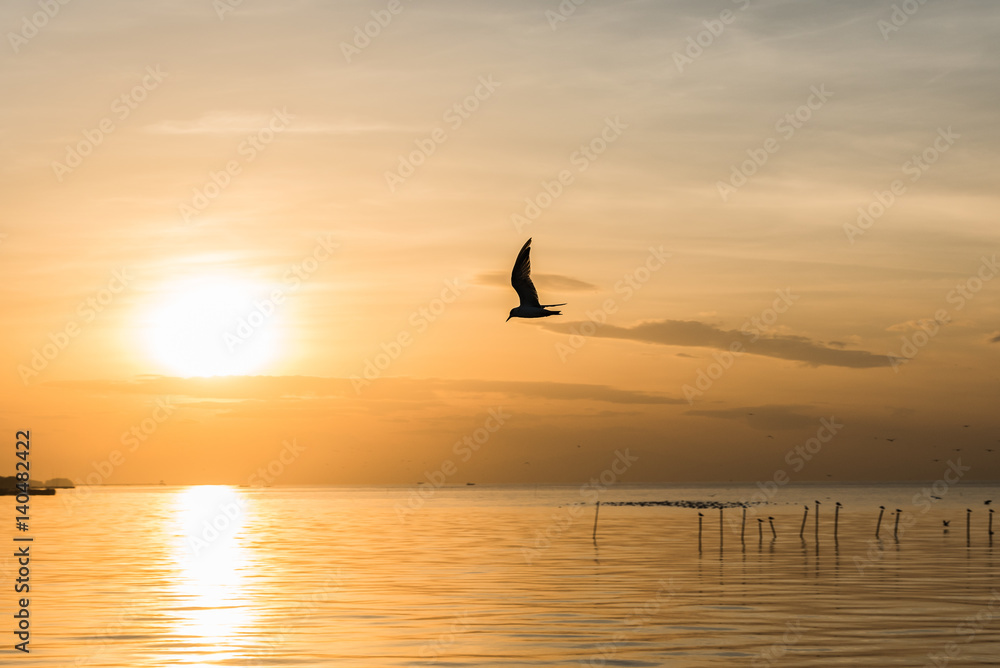Seagull fly to the sunrise.