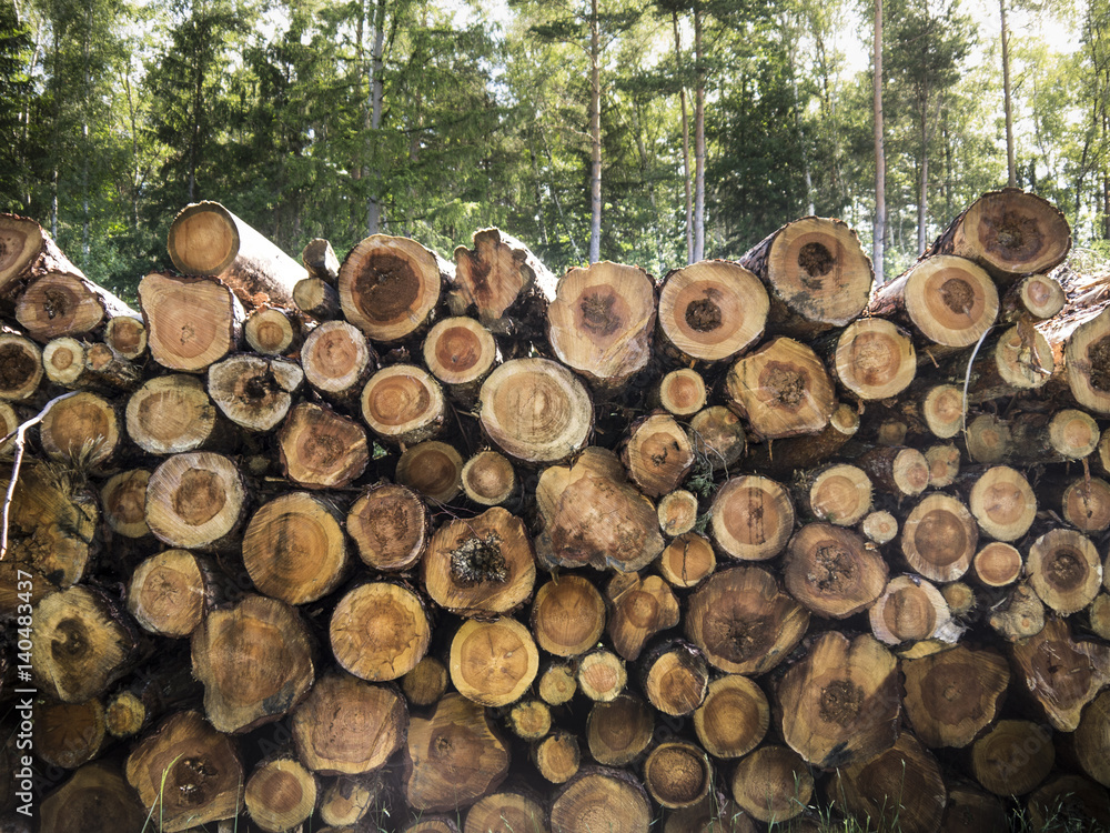 Chopped trees, caber, wooden logs, timber and lumber lying on the pile after deforestation