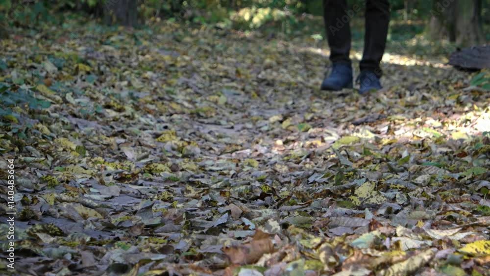 Hiker Walking over Dry Leaves in the Forest with Sound Hiker Walking over Dry Leaves in the Forest with Sound