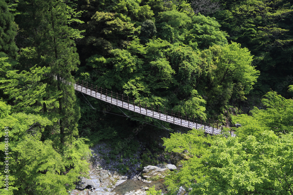 High angle view of Momiki Suspension Bridge in forest High angle view of Momiki Suspension Bridge in forest