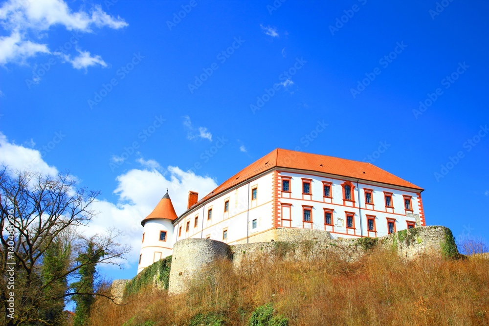 Beautiful castle on the hill, blue sky in background