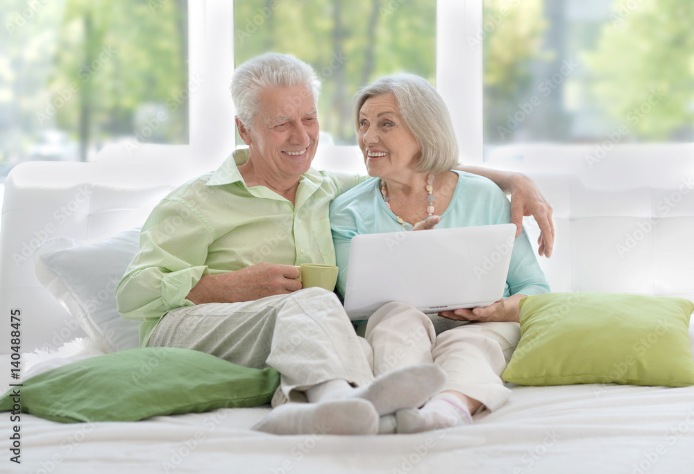 Elderly couple with a laptop Elderly couple with a laptop