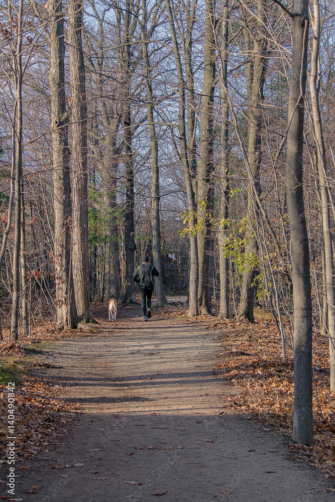 Obraz premium Enjoying the path