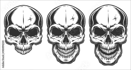 Monochrome illustration of skull. On white background