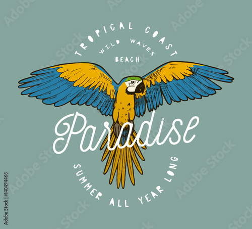 colorful paradise parrot grunge label print