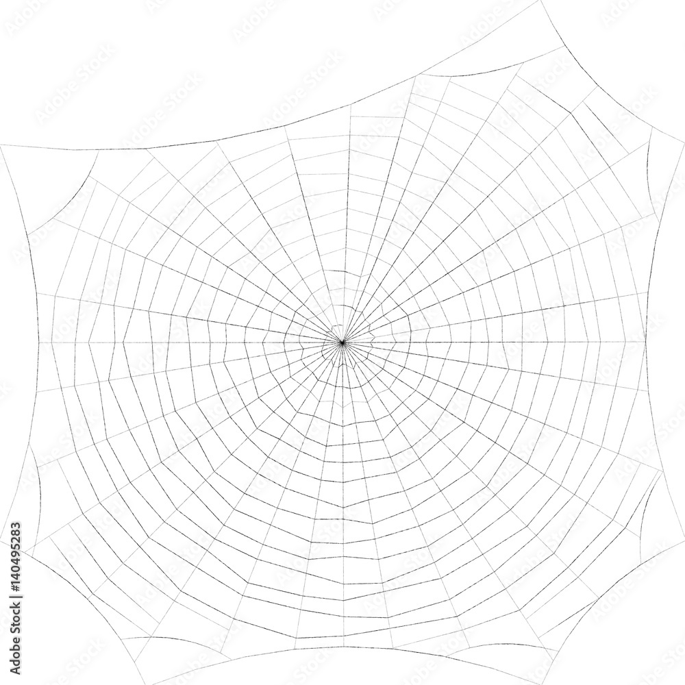 Obraz premium Spiderweb. Isolated on white background. Sketch illustration.