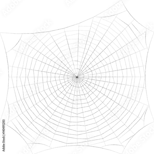 Spiderweb. Isolated on white background. Sketch illustration.