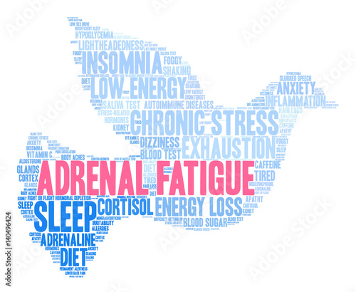 Adrenal Fatigue Word Cloud on a white background. 