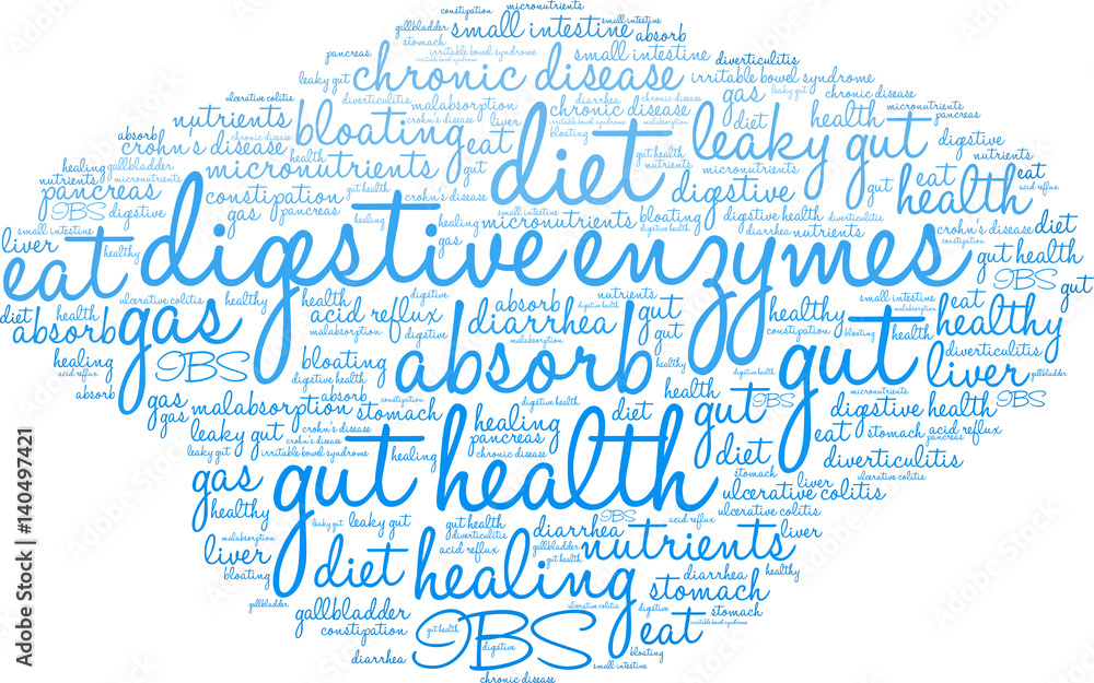 Fototapeta premium Digestive Enzymes Word Cloud on a white background. 