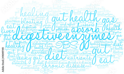 Digestive Enzymes Word Cloud on a white background. 