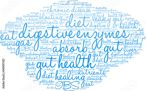 Digestive Enzymes Word Cloud on a white background. 