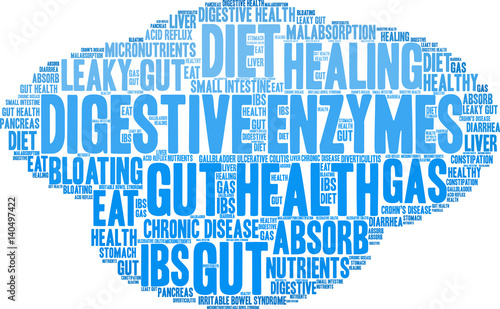 Digestive Enzymes Word Cloud on a white background. 
