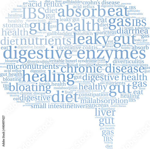 Digestive Enzymes Word Cloud on a white background. 