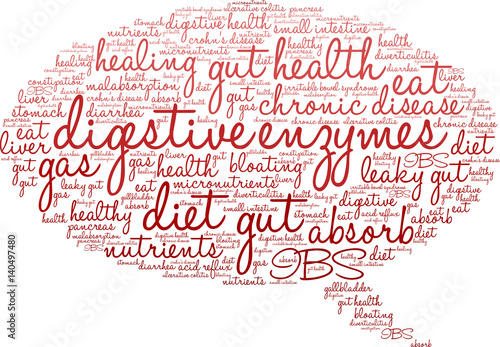 Digestive Enzymes Word Cloud on a white background. 
