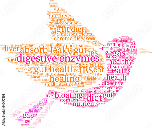 Digestive Enzymes Word Cloud on a white background. 