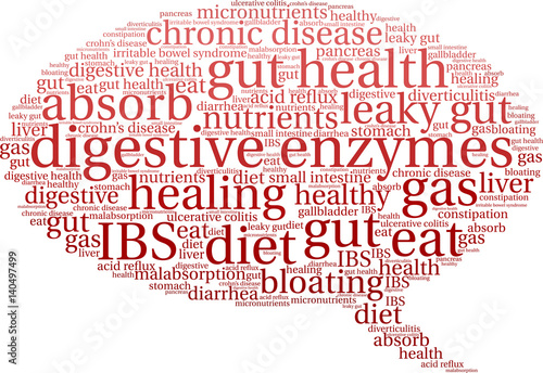Digestive Enzymes Word Cloud on a white background. 