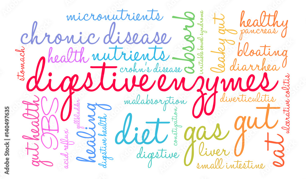 Digestive Enzymes Word Cloud on a white background. Digestive Enzymes Word Cloud on a white background.